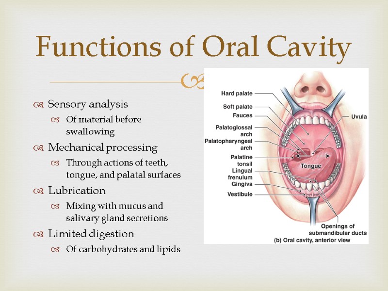 Functions of Oral Cavity Sensory analysis Of material before swallowing Mechanical processing Through actions